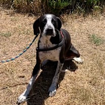 Thumbnail photo of Louise #3