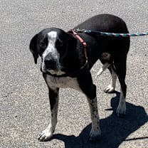 Thumbnail photo of Louise #4