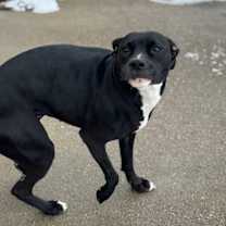 Thumbnail photo of Lenti #2