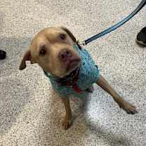 Thumbnail photo of Rosie #3