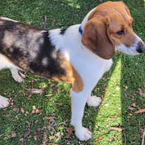 Thumbnail photo of Kody #4