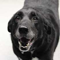 Thumbnail photo of Night #1