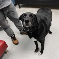 Thumbnail photo of Night #2