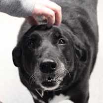 Thumbnail photo of Night #3