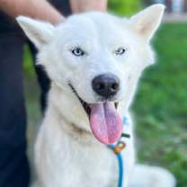 Thumbnail photo of Della #3