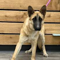 Thumbnail photo of Diana #2