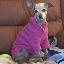 Thumbnail photo of Snow #4