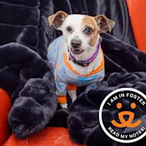 Thumbnail photo of Peanuts #1