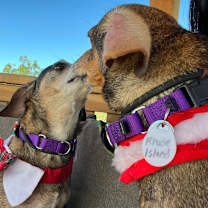 Thumbnail photo of Rhode Island #3