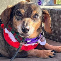 Thumbnail photo of Rhode Island #4