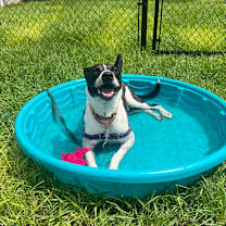 Thumbnail photo of Charlie #4