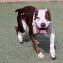 Thumbnail photo of Serenity* #3