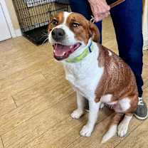 Thumbnail photo of GRETA #1