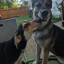 Thumbnail photo of Liesle FOSTER #3