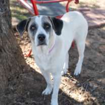 Thumbnail photo of Nova #2