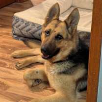 Thumbnail photo of Dora #3