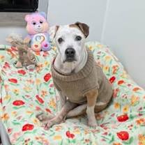 Thumbnail photo of Twist #1