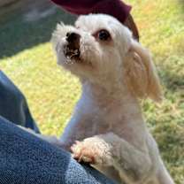 Thumbnail photo of Reginald #3