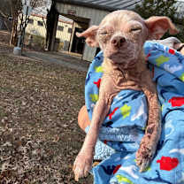 Thumbnail photo of Parker #3