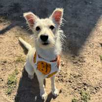 Thumbnail photo of Mimi #1