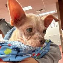 Thumbnail photo of Parker #4