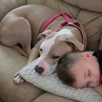 Thumbnail photo of Bella #2