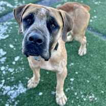 Thumbnail photo of Montgomery #2