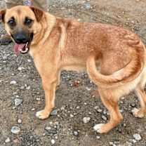 Thumbnail photo of Nykee (CL) #2