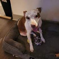 Thumbnail photo of Coco X (New Digs) #4