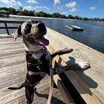 Thumbnail photo of Twister #2