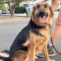 Thumbnail photo of Penny #1