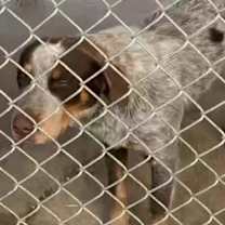 Thumbnail photo of Bingo #1