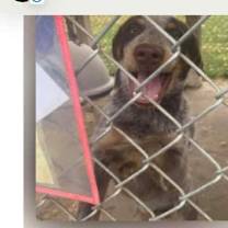 Thumbnail photo of Bingo #2