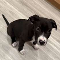 Thumbnail photo of Catman #2