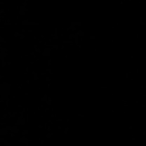 Thumbnail photo of Leo #4