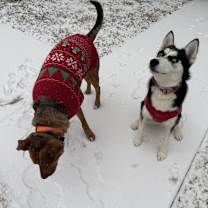 Thumbnail photo of Luna #2