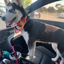 Thumbnail photo of Luna #3