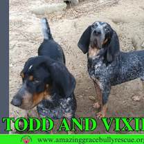 Thumbnail photo of Todd #3