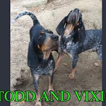 Thumbnail photo of Todd #4