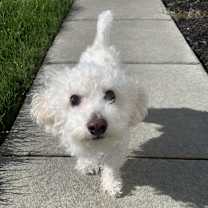 Thumbnail photo of Peeta #4