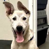 Thumbnail photo of 161532 Duke #3