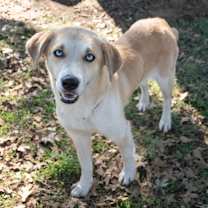 Thumbnail photo of Laura #1