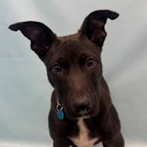 Thumbnail photo of JD #3