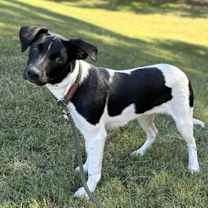 Thumbnail photo of Valentine #1