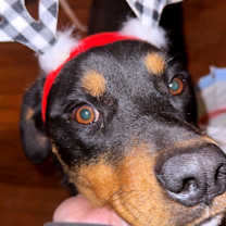 Thumbnail photo of Izzi #2