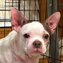 Thumbnail photo of Storm #2