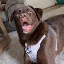 Thumbnail photo of Tate #1