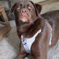 Thumbnail photo of Tate #2