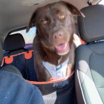 Thumbnail photo of Tate #3