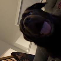 Thumbnail photo of Tate #4